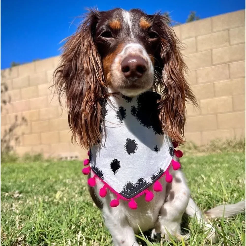Louadore Nala's MOOd Cow Print Dog Bandana Black White Pink